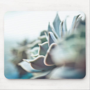 Echeveria Succulent Mousepad