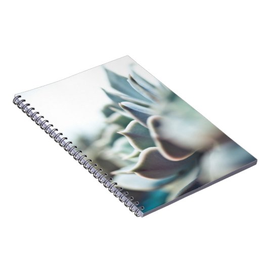 Echeveria Succulent Notizblock (Rechte Seite)