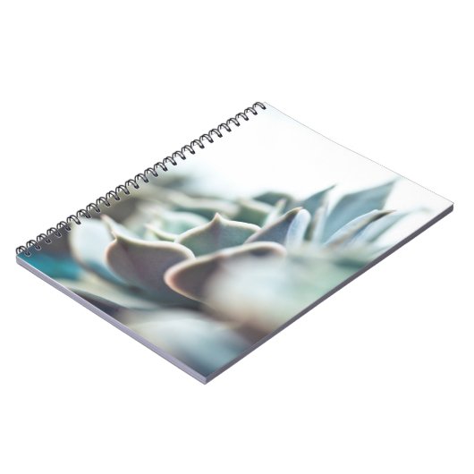 Echeveria Succulent Notizblock (Linke Seite)