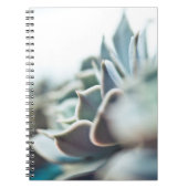 Echeveria Succulent Notizblock (Vorderseite)