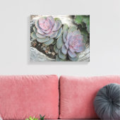 Echeveria Succulent Wrapped Canvas Leinwanddruck (Insitu (Wohnzimmer))