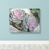 Echeveria Succulent Wrapped Canvas Leinwanddruck (Insitu (Holzboden))
