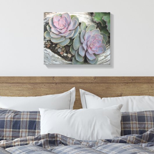 Echeveria Succulent Wrapped Canvas Leinwanddruck (Insitu (Schlafzimmer))
