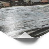 Echeveria Sukkuläres Foto drucken (Ecke)