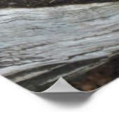 Echeveria Sukkuläres Poster (Ecke)