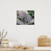 Echeveria Sukkuläres Poster (Küche)