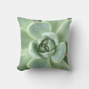 Echeveria sukkulent kissen