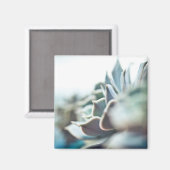Echeveria sukkulent magnet (Vorderseite/Rückseite)