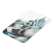 Echeveria sukkulent magnet (Linke Seite)