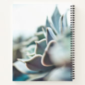 Echeveria sukkulent notizblock (Rückseite)