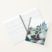 Echeveria sukkulent notizblock (Innenseite)