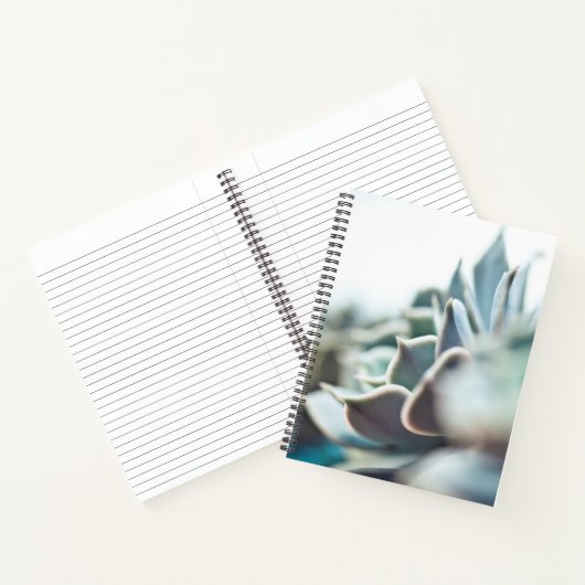Echeveria sukkulent notizblock (Innenseite)