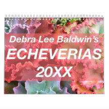 Echeverias 20XX Kalender von Debra Lee Baldwin