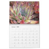 Echeverias 20XX Kalender von Debra Lee Baldwin (Jan 2021)