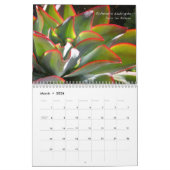 Echeverias 20XX Kalender von Debra Lee Baldwin (Mär 2026)