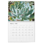 Echeverias 20XX Kalender von Debra Lee Baldwin (Feb 2026)