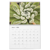 Echeverias Sukkulent 12 Monate Kalender (Mär 2026)