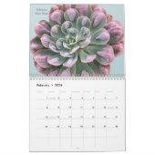 Echeverias Sukkulent 12 Monate Kalender (Feb 2026)