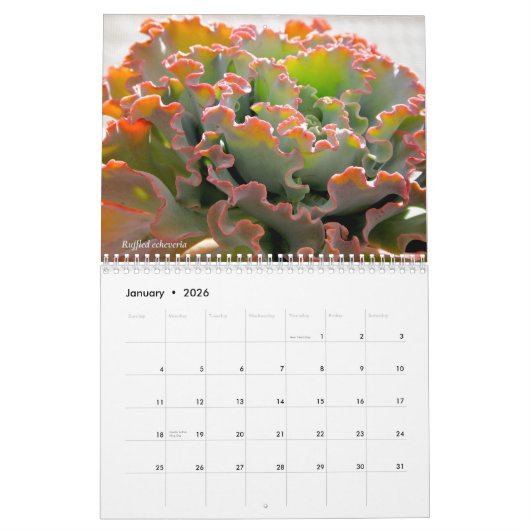 Echeverias Sukkulent 12 Monate Kalender (Jan 2026)
