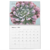 Echeverias Sukkulent 12 Monate Kalender (Feb 2027)
