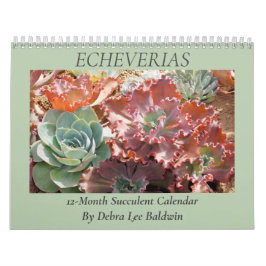Echeverias: Sukkulturen von Debra Lee Baldwin Kalender
