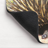 echidna_01, Pat Mousepad (Ecke)