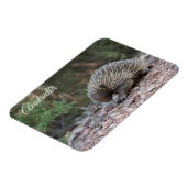 Echidna, Australien Magnet (Linke Seite)