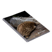 Echidna Australien Notizblock (Rechte Seite)