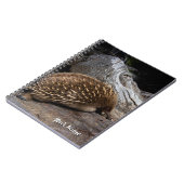 Echidna Australien Notizblock (Linke Seite)