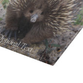 Echidna oder stacheliger Anteater Australien Schneidebrett (Ecke)