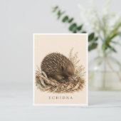 Echidna-Postkarte | Bush Edition Postkarte (Stehend Vorderseite)