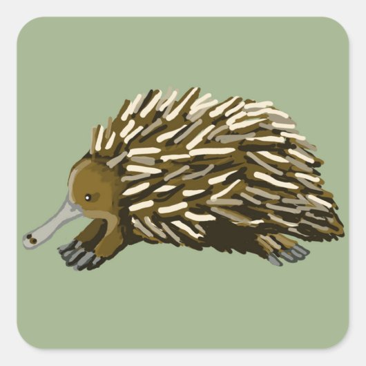 Echidna Quadratischer Aufkleber (Vorderseite)
