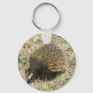 Echidna Schlüsselanhänger
