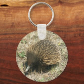 Echidna Schlüsselanhänger (Vorderseite)