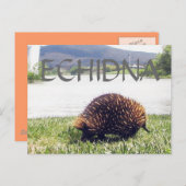 ECHIDNA-Tierart personalisieren Postkarte (Vorne/Hinten)
