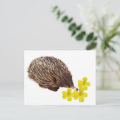 Echidna und Frangipani Postcard Postkarte (Stehend Vorderseite)