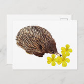 Echidna und Frangipani Postcard Postkarte (Vorne/Hinten)