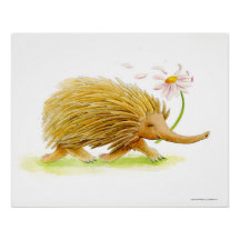 Echidna Wassercolor-Poster