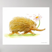 Echidna Wassercolor-Poster Poster (Vorne)