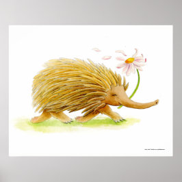 Echidna Wassercolor-Poster Poster