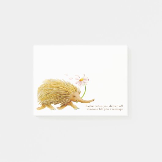 Echidnas whimsy Aquarellfarben-Post, die er notier Post-it Klebezettel (Vorderseite)