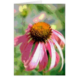 Echinacea Abstrakte Karte