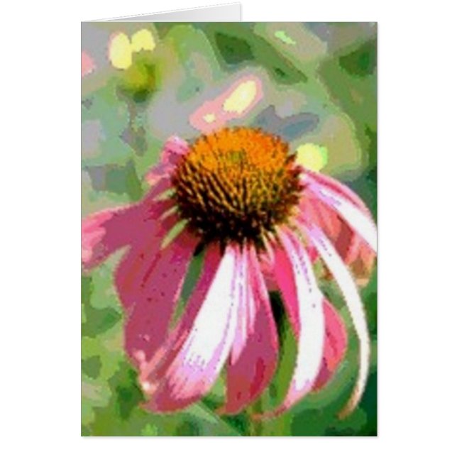 Echinacea Abstrakte Karte (Vorne)