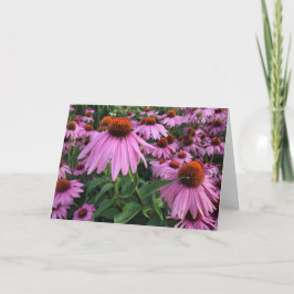 Echinacea Blank Note Card Dankeskarte