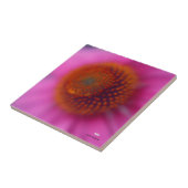 Echinacea-Blume Fliese (Seite)