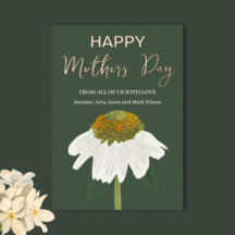 Echinacea Blume Happy Mütter Day Gold