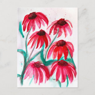 Echinacea-Blume in Bloom - Aquarellfarbe Feiertagspostkarte