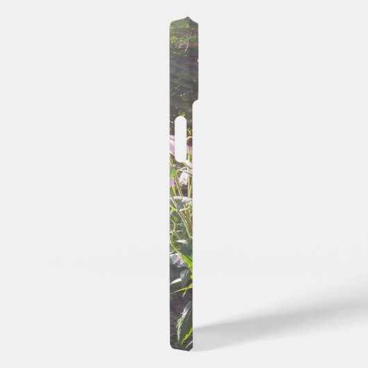 Echinacea-Blume in der Sonne Case-Mate iPhone Hülle (Rückseite / Rechts)