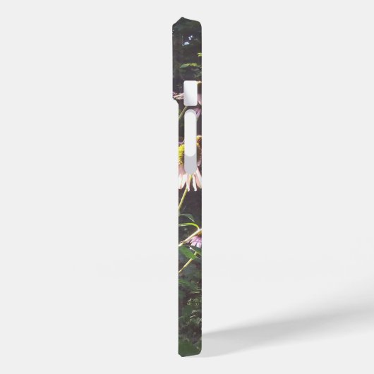 Echinacea-Blume in der Sonne Case-Mate iPhone Hülle (Rückseite / Links)