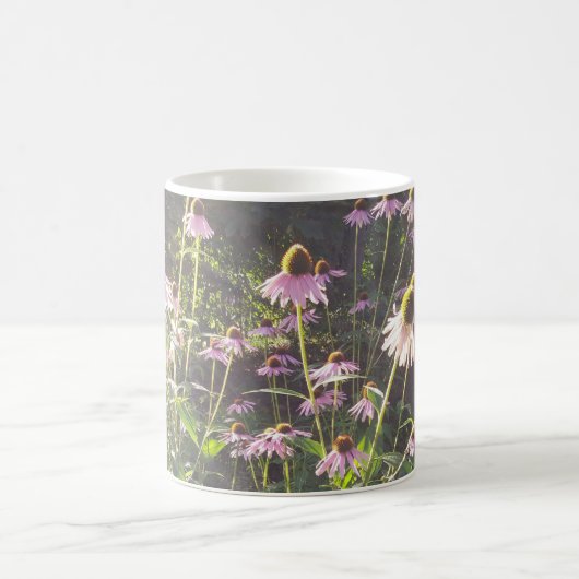 Echinacea-Blume in der Sonne Kaffeetasse (Mittel)